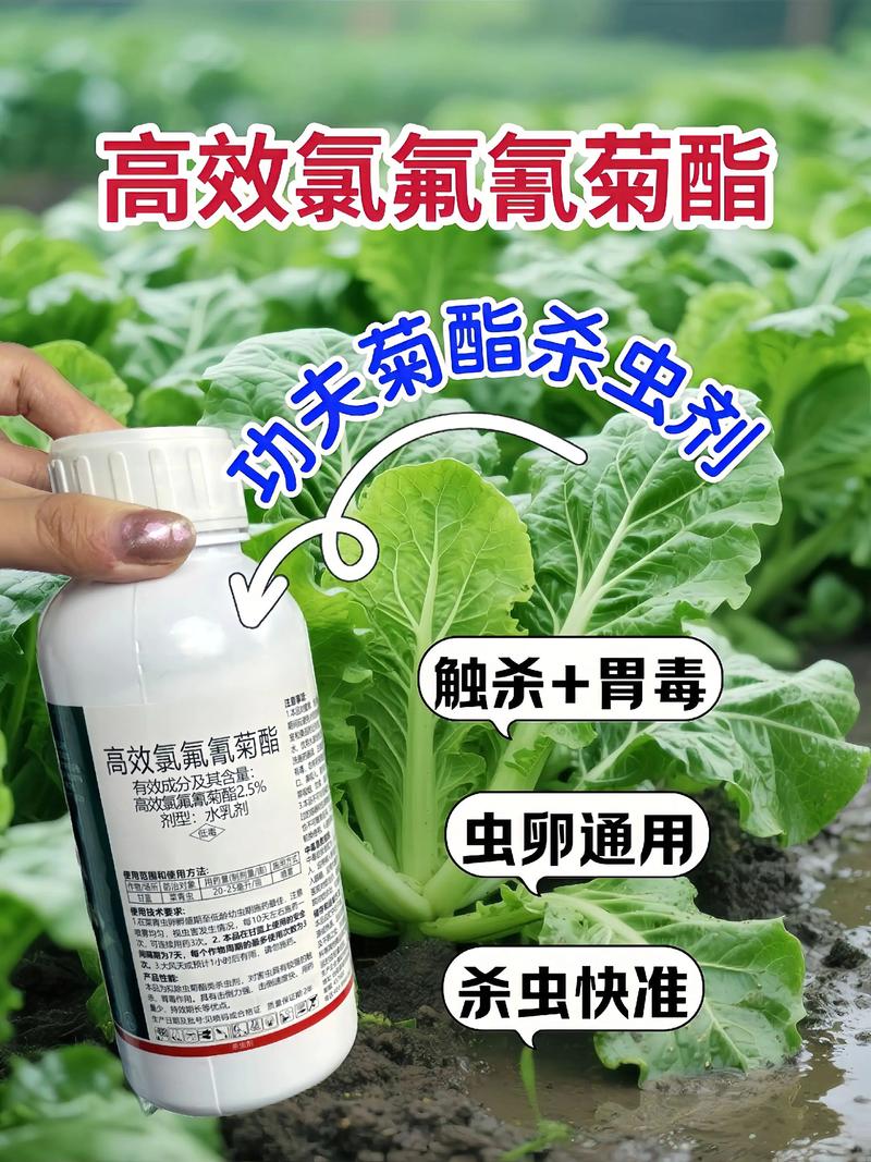 湖南代生中心:农药对供卵代生妈妈的危害